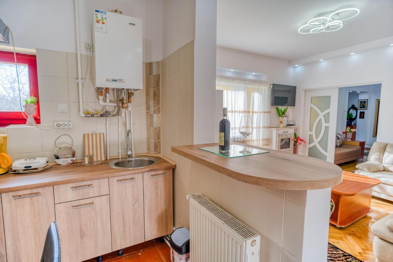 Appartamento Suvenir Chic - Fusion Of Modern Elegance & Harmony Bucarest